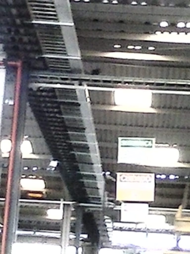 Infraestrutura (15)